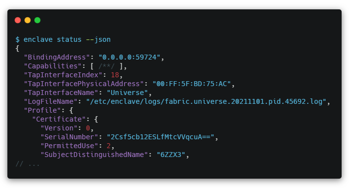 Enclave Status JSON